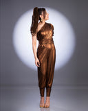 Brown Metallic Jumpsuit